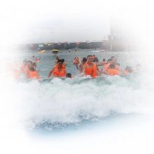 【河南專業(yè)人工造浪設備、人工造浪池 、造浪機設備圖片】河南專業(yè)人工造浪設備、人工造浪池 、造浪機設備圖片大全