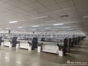 視頻 東南亞針織 萬人工廠 震撼世界 中國紡織 面料 服裝工廠面臨巨大挑戰