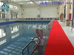 兒童戲水設備批發 標準游泳池設備建造